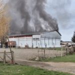 Persecución y aprehensión tras desobediencia en operativo vehicular en Puerto Madryn