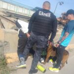 Allanan complejo habitacional en Sarmiento por presunta venta de drogas: secuestran estupefacientes, armas y dinero