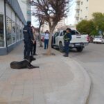 Colisión entre camioneta y micro escolar en Rawson: cuatro personas fueron trasladadas al hospital por prevención