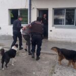 Hallan arma de fuego en complejo habitacional de Trelew: investigan posible uso indebido