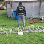 Dos hombres fueron aprehendidos en Comodoro Rivadavia por portar arma de fuego y municiones en vía pública