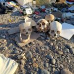 Detuvieron a un hombre con pedido de captura tras intentar huir en Comodoro Rivadavia
