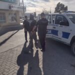 Trelew: allanamientos en una causa por presunto robo