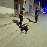 Puerto Madryn: detienen a un hombre por ingresar sin autorización a una vivienda