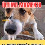 Familiares del Angel realizaron una protesta pacífica frente a Ciudad Judicial